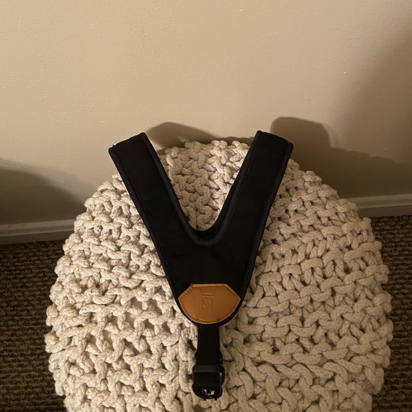 avalanche dog harness